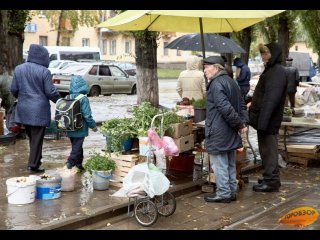 В Башкирии вступил в силу закон об отмене штрафов за уличную торговлю