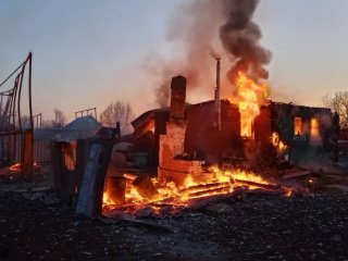 В пожаре в деревне Башкирии погибли корова и теленок