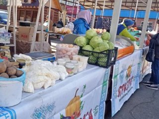 В Уфе 7 и 8 мая пройдут сельскохозяйственные ярмарки