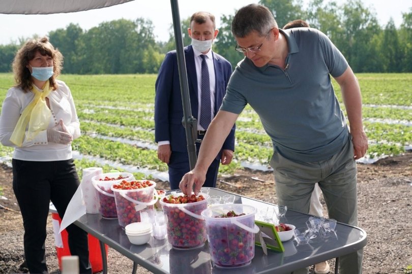 В яблоневые сады Башкирии вложили 84,4 млн рублей