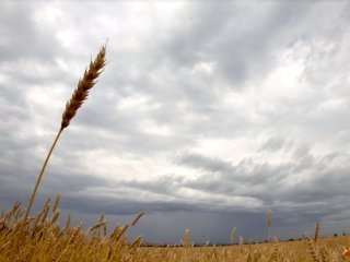 Жителей Башкирии предупредили о сильном ветре