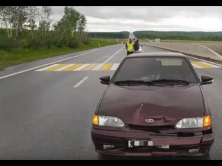 «Не успел»: под колесами водителя из Татарстана погибла уроженка Башкирии