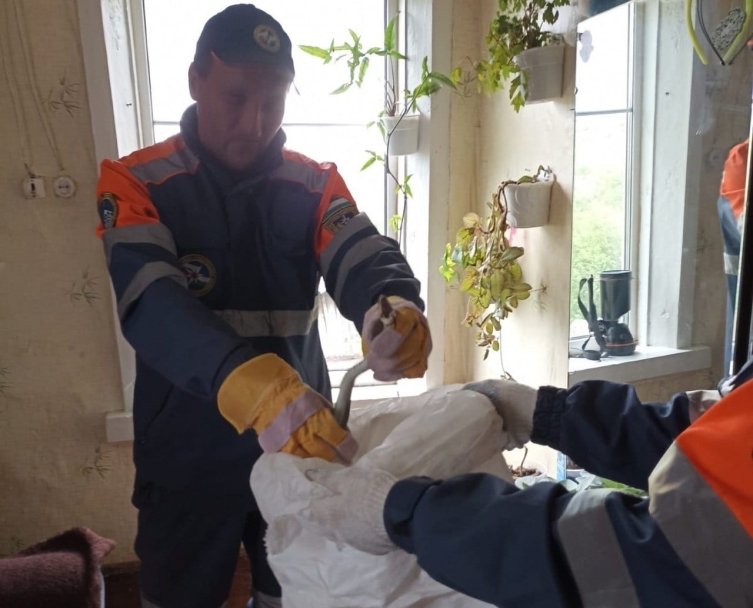 В Башкирии змея заползла в домашний погреб В Башкирии змея заползла в домашний погреб