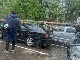 В Уфе из-за непогоды на автомобили упали 4 дерева