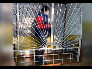 Виновному в гибели трех детей водителю из Башкирии вынесли приговор 