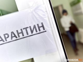 Из-за черного усача ввели карантин в районе Башкирии