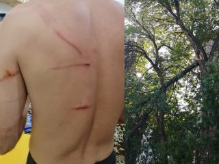«Ребенок потерял сознание»: в Уфе во дворе на семью рухнуло дерево