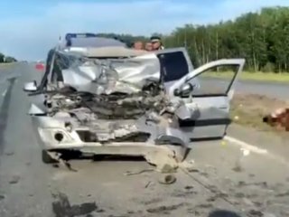 Следователи намерены расследовать ДТП с погибшим мужчиной и пострадавшей 9-летней девочкой в Башкирии