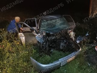 В Башкирии водитель легковушки погиб, врезавшись в остановку