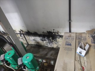 В Уфе жители ЖК «Эдисон» пожаловались на сырость и плесень в домах