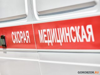 Благодаря санавиации Башкирии в больницу экстренно прибыл нейрохирург