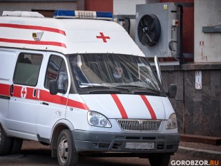 Двум малышам до 2 лет понадобилась реанимационная помощь после падения в реку Башкирии