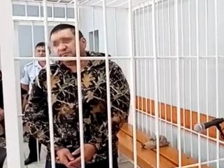 Обвиняемого в убийстве чиновницы районной администрации в Башкирии заключили под стражу 