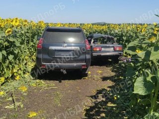 В Башкирии в ДТП погибли два человека
