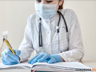 В семи муниципалитетах Башкирии более чем в два раза выросла заболеваемость мышиной лихорадкой