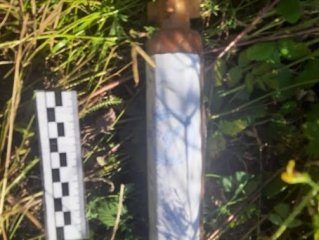 Житель Башкирии во время сбора грибов обнаружил взрывоопасный заряд
