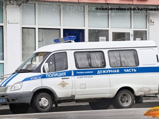 Жительница Уфимского района пыталась искусать полицейского