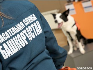 Спасатели вызволили из банки пальчик 5-летнего малыша из Башкирии