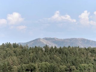 Уфимцев призывают принять участие в акции «Зеленая Башкирия» 