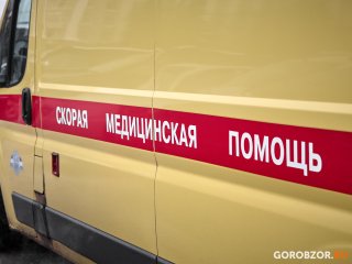 В Башкирии 19 человек отравились неизвестными грибами