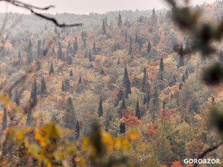 В Башкирии двое мужчин потерялись в лесу