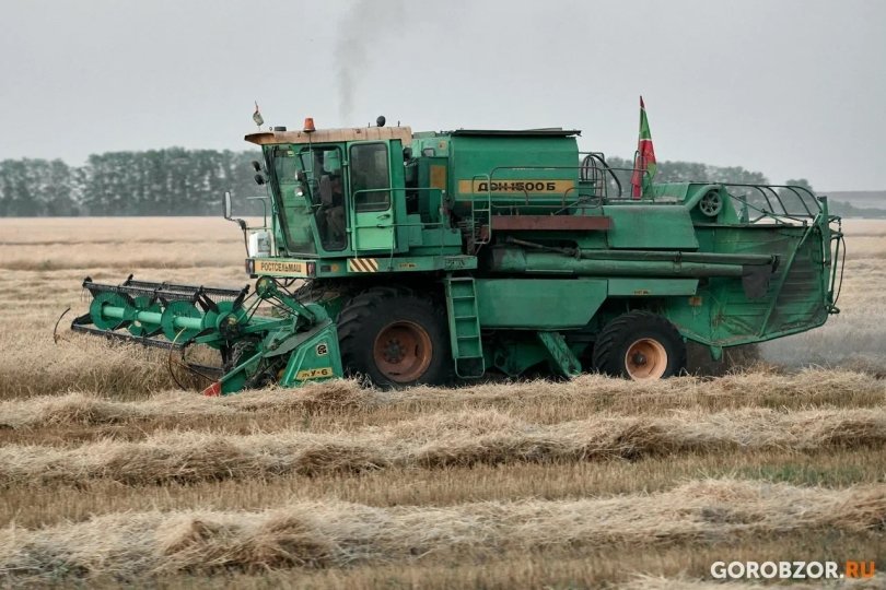 В Башкирии названы районы-лидеры по валовому намолоту зерна В Башкирии названы районы-лидеры по валовому намолоту зерна