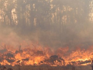 В Башкирии сохраняется высокий класс пожароопасности