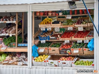 В Башкирии за год на 41,2% подорожал лук