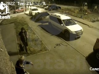 В Уфе домашняя собака напала на женщину во дворе