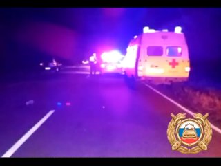 Житель Челябинской области погиб под колесами водителя из Башкирии