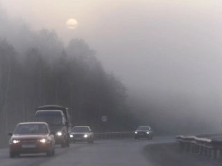 Жителей Башкирии предупреждают о тумане 