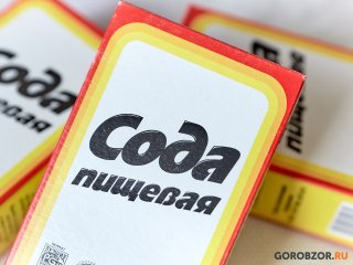 Радий Хабиров пояснил, почему пакет акций БСК перешел «Русскому водороду»