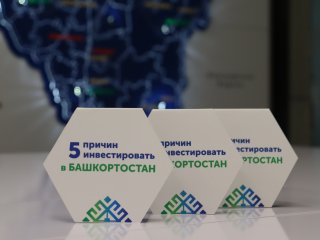В Башкирии ищут инвестора для создания деревообрабатывающего производства