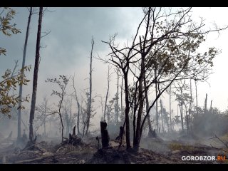 В Башкирии отменили действие противопожарного режима