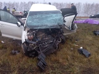 В Башкирии в ДТП погибли три человека, еще двое пострадали