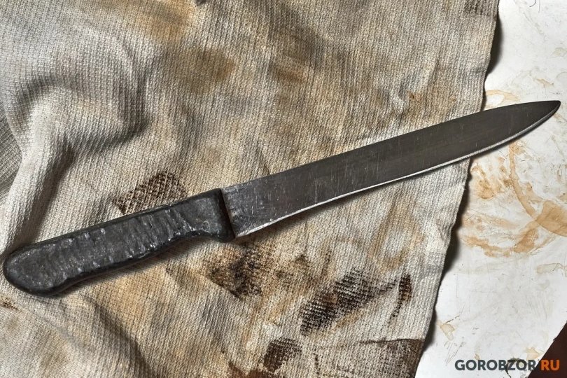 В Башкирии женщина ударила ножом 47-летнего сожителя В Башкирии женщина ударила ножом 47-летнего сожителя