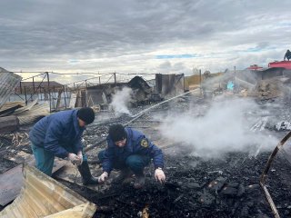 В результате пожара в Башкирии местный житель получил ожог рук