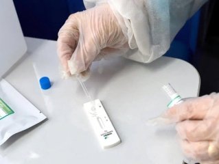 В России выявили два новых варианта коронавируса