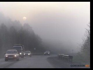 Жителей Башкирии предупредили о густом тумане