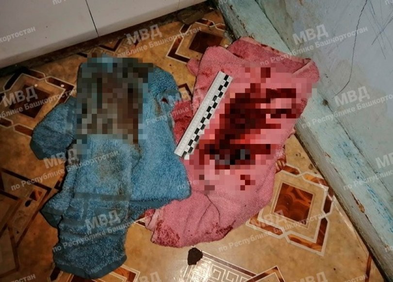 Жительница Башкирии ударила бывшего мужа ножом в грудь и заявила, что экс-супруг сделал это сам Жительница Башкирии ударила бывшего мужа ножом в грудь и заявила, что экс-супруг сделал это сам
