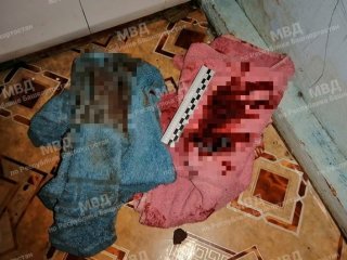 Жительница Башкирии ударила бывшего мужа ножом в грудь и заявила, что экс-супруг сделал это сам