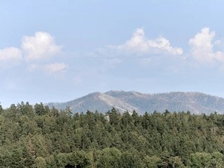Башкирия перевыполнила план по лесовосстановлению