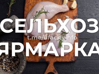 Сельхозярмарки пройдут в Уфе 26 и 27 ноября