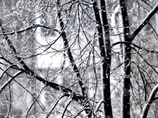 Сильный снегопад ожидается в Башкирии