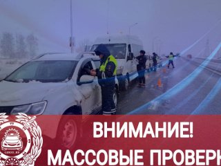 В Башкирии проходят массовые проверки водителей