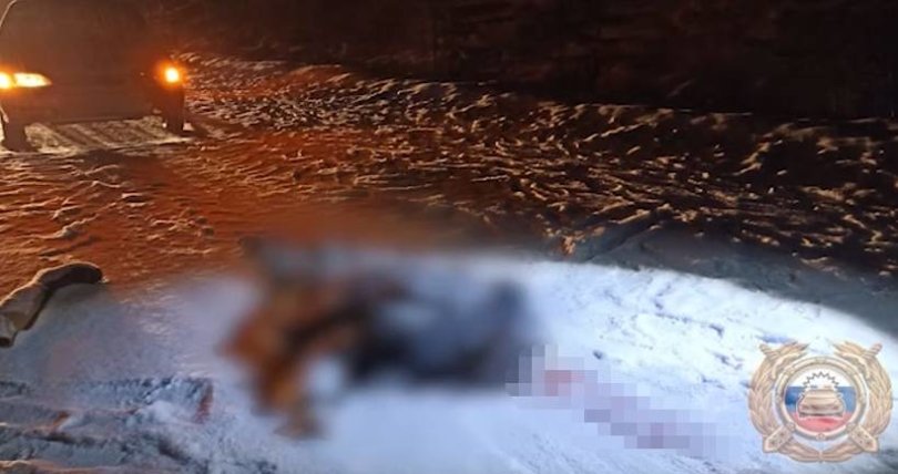 В Башкирии мужчина сбил насмерть сидящего на дороге пешехода В Башкирии мужчина сбил насмерть сидящего на дороге пешехода