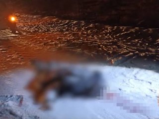 В Башкирии мужчина сбил насмерть сидящего на дороге пешехода
