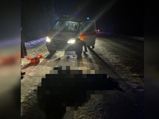 В Башкирии водитель скорой помощи насмерть сбил пешехода