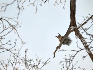 Жителям Башкирии рассказали о погоде в последний день года