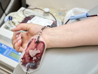 Парламент Башкирии разрабатывает законопроект о геноме человека